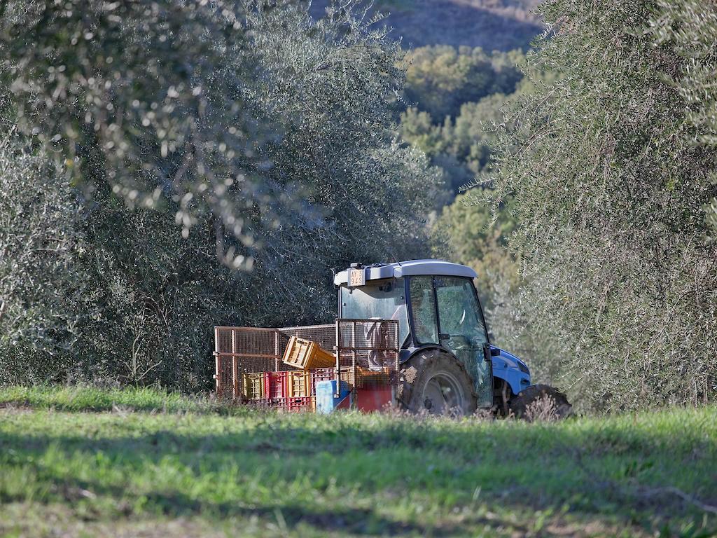 Tenuta La Silva Seggiano Екстер'єр фото
