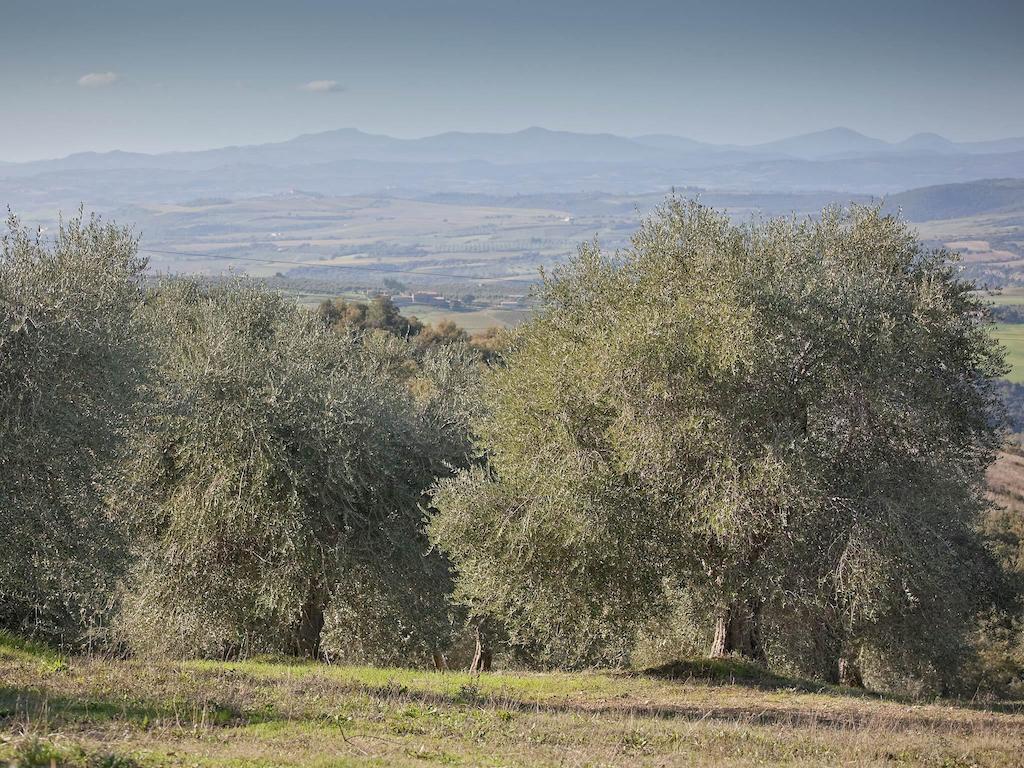 Tenuta La Silva Seggiano Екстер'єр фото